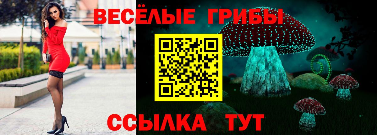 Псилоцибиновые грибы мухоморы  Вход с VPN  Урюпинск  купить наркоту  Галлюциногенные грибы мухоморы 